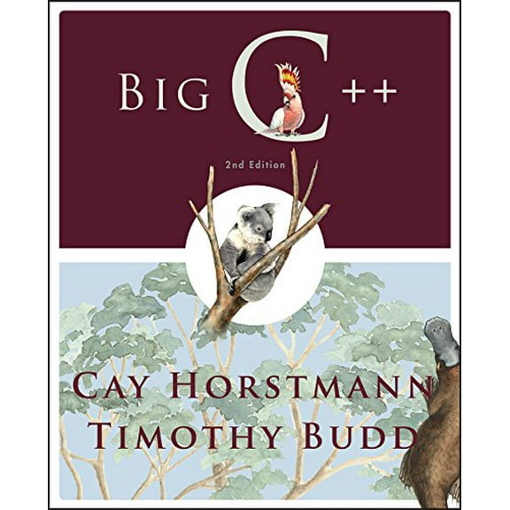 Pre-Owned Big C++ (Paperback) 0470383283 9780470383285