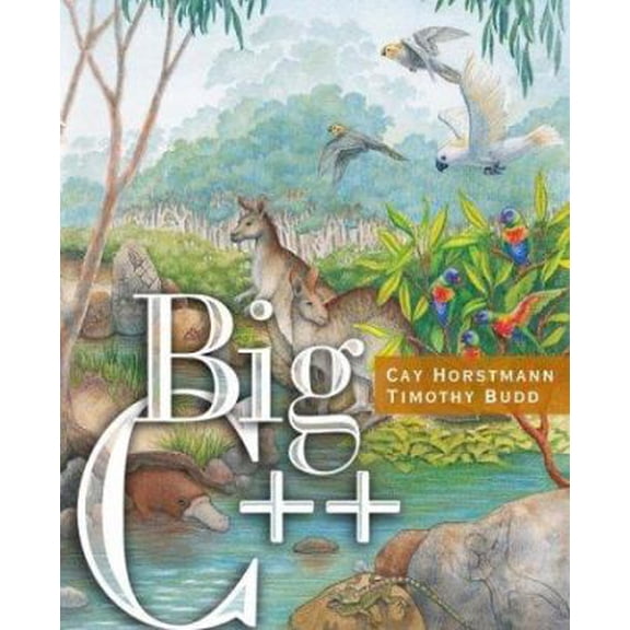 Pre-Owned Big C ++ (Paperback) 0471470635 9780471470632