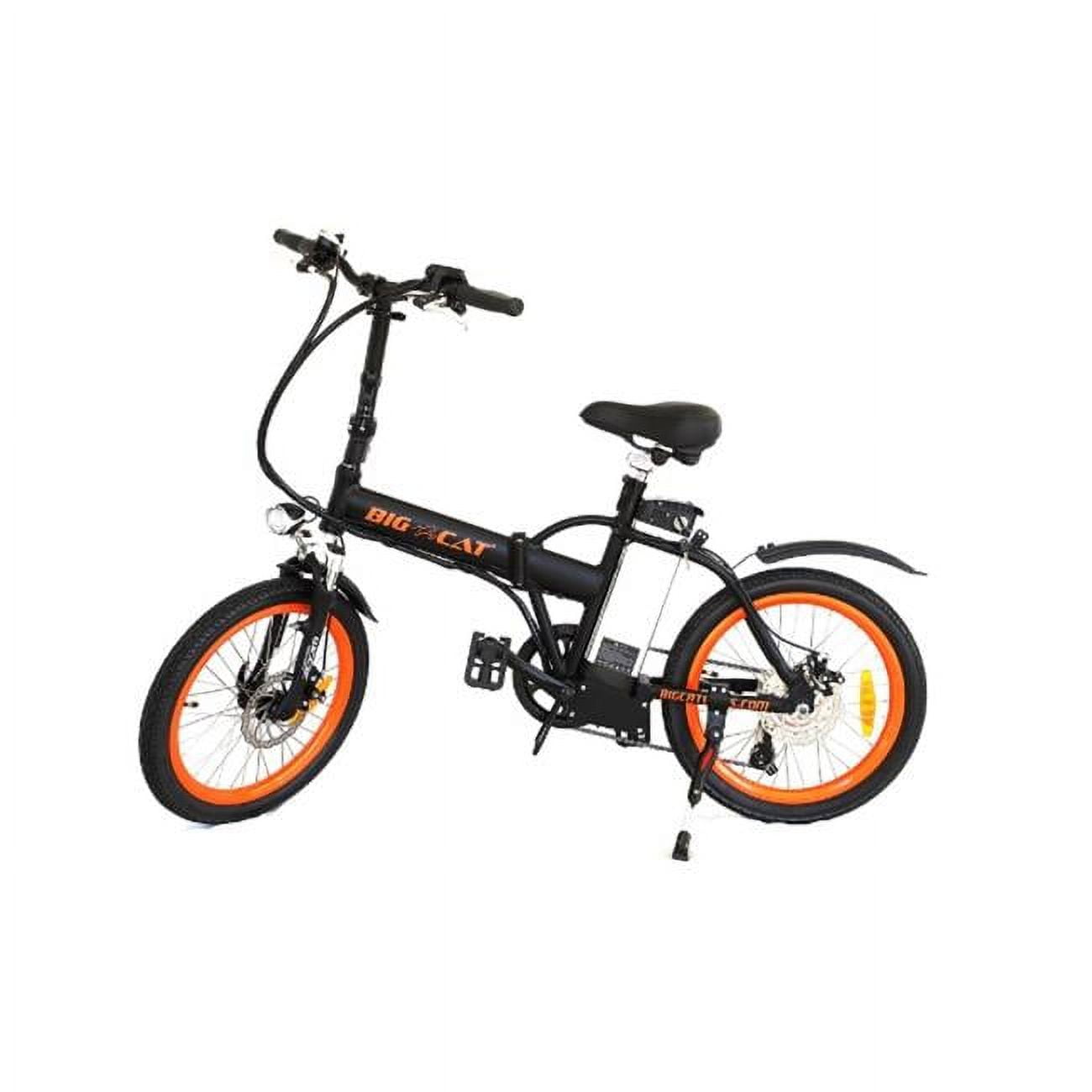 Big Cat Electric Bikes