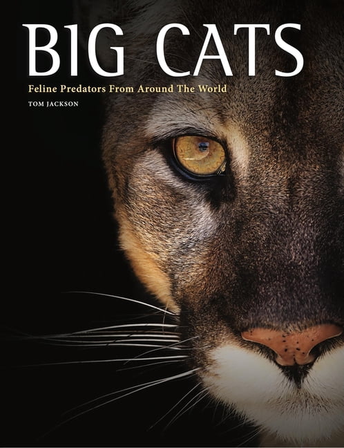 Big Cats: Feline Predators from Around the World, (Hardcover)
