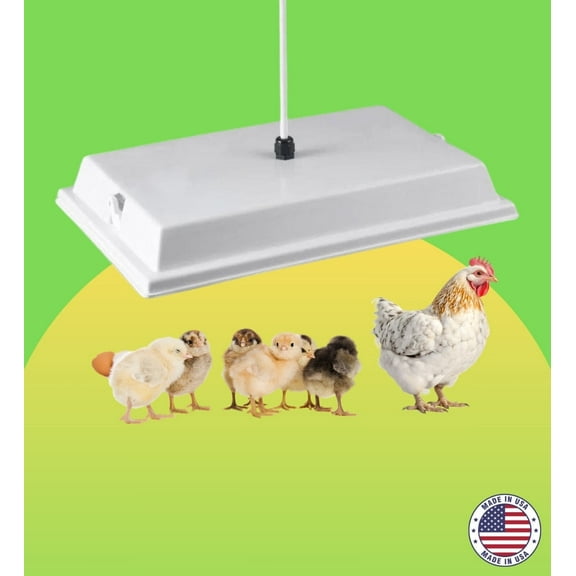 Big Chicken Co. Powder-Coated Steel Chicken Coop Heater, Energy Efficient Radiant Brooder, White