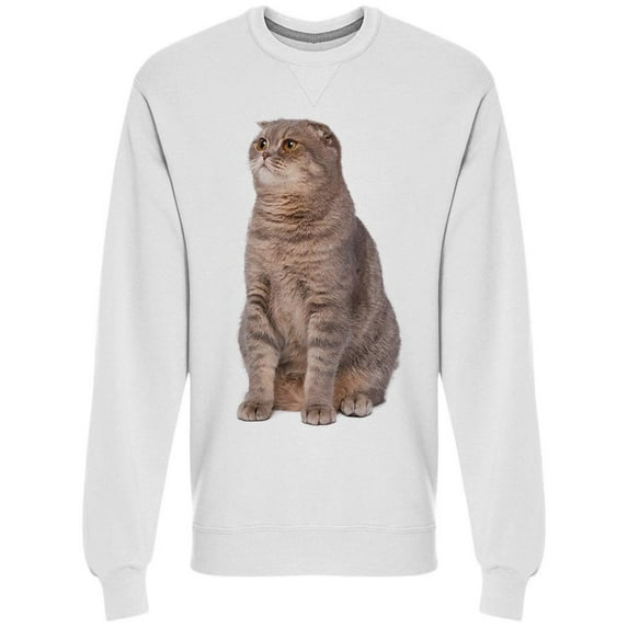 Big Cute Cat Looking At His Side Sweatshirt Men -Image by Shutterstock Men Sweatshirt, Male XX-Large
