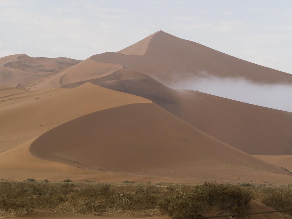 Big Daddy sand dunes in a desert Sossusvlei Namib-Naukluft National Park Hardap Namibia Canvas Art - Panoramic Images (12 x 16)