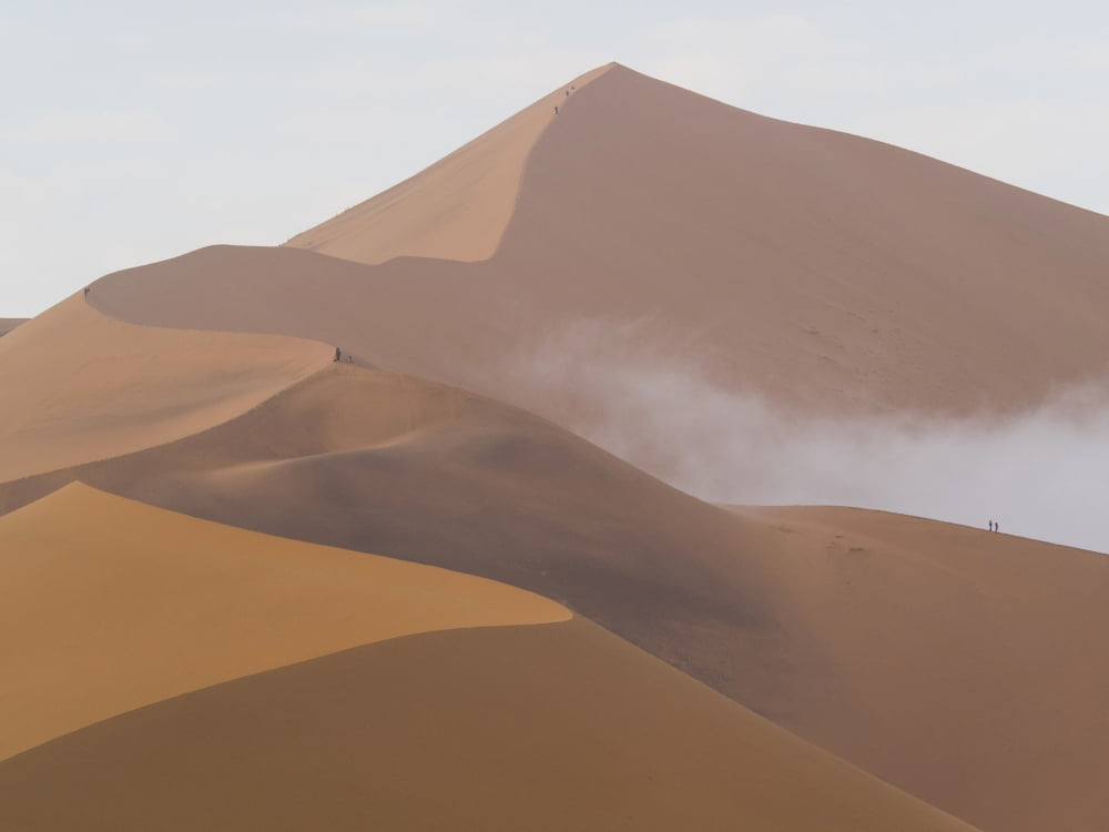 Big Daddy sand dunes in a desert Sossusvlei Namib-Naukluft National Park Hardap Namibia Canvas Art - Panoramic Images (12 x 16)