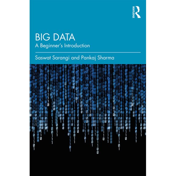 Big Data: A Beginner's Introduction, (Paperback)