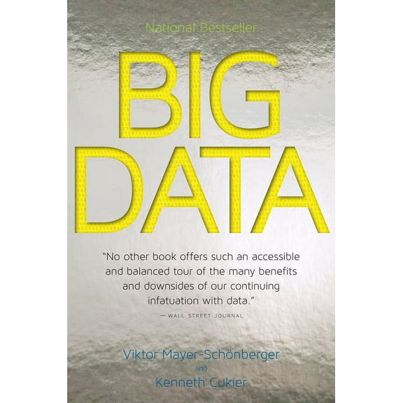 Big Data, (Paperback)
