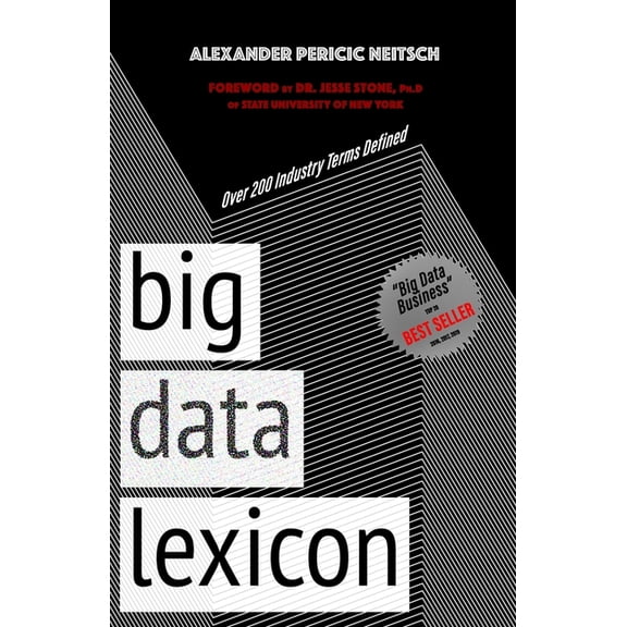 Big Data Lexicon: Over 200 Industry Terms Defined And Demystified With Easy To Understand Definitions Paperback 1539360458 9781539360452 Alexander Pericic