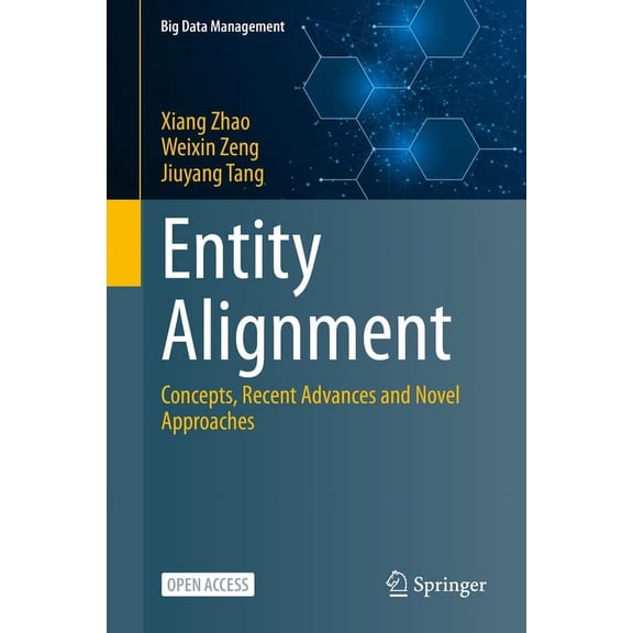 Big Data Management Entity Alignment: Concepts, Recent Advances and Novel Approaches, (Paperback)