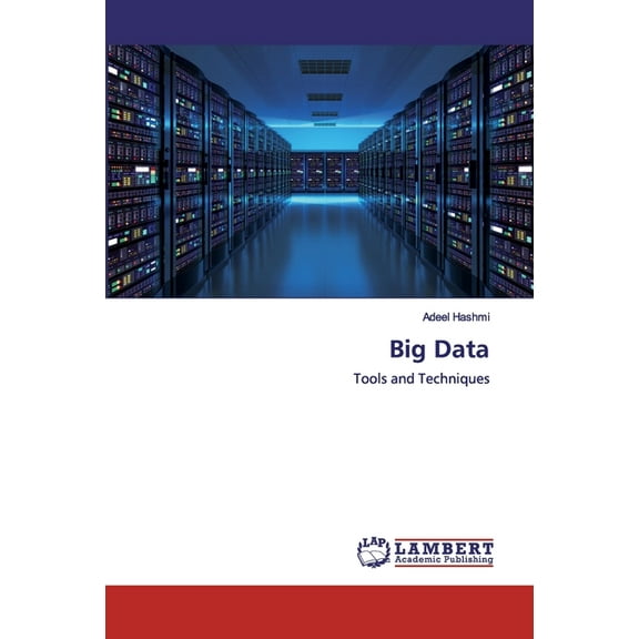 Big Data (Paperback)