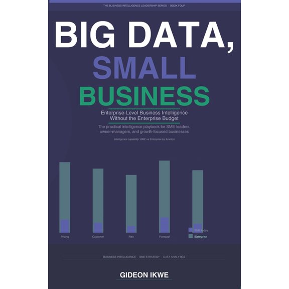 The Business Intelligence Leadership Big Data, Small Business: Enterprise-Level Business Intelligence Without the Enterprise Budget, Book 4, (Paperback)