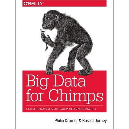 Big Data for Chimps: A Guide to Massive-Scale Data Processing in Practice [Paperback - Used]