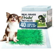 Big Dawg Pet Supplies Real Grass Printed Disposable Pet Pads. 24x24in Puppy Pee Pads for Dogs, Cats, and Small Animal Wee in Handy Grab-n-Go Box. Absorbent Potty Training, Housebreaking Supplies