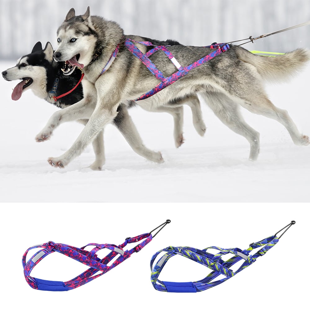 Dentastix For Dogs Dog Sledding Harness Weight Pulling Harness For