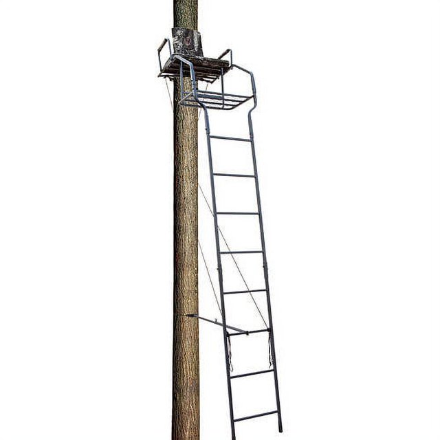 Big Dog Stadium Basic Ladder Stand, 17.5Feet
