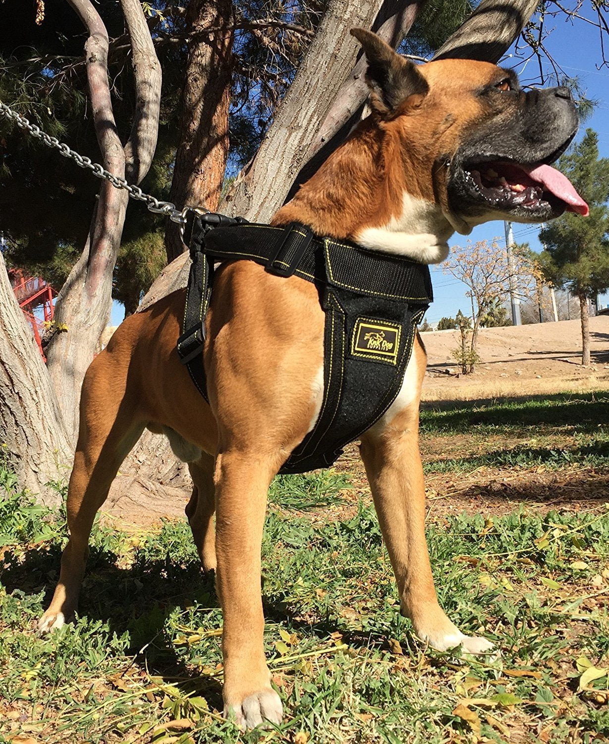 Big Dog Vest Harness Padded by KnK Dog Supplies | large breed no pull coat dress quick xl yellow soft safety small medium large car vest adjustable 10-15 lbs 25 lbs 30 lb 50 lb 70 lb 80 lb