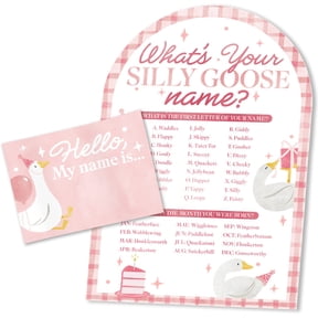 Big Dot of Happiness One Silly Goose Pink What's Your Name Party Game Activity, Funny Icebreaker Game for Pink 1st Birthday Party Decoration, 1 Sign with Stand and 32 Hello My Name Tag Stickers