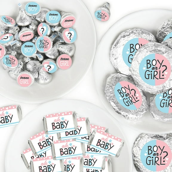 Big Dot of Happiness Baby Gender Reveal - Team Boy or Girl Party Candy Favor Sticker Kit - 304 Pieces