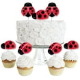 thumbnail image 1 of Big Dot of Happiness Happy Little Ladybug - Dessert Cupcake Toppers - Baby Shower or Birthday Party Clear Treat Picks - Set of 24, 1 of 8
