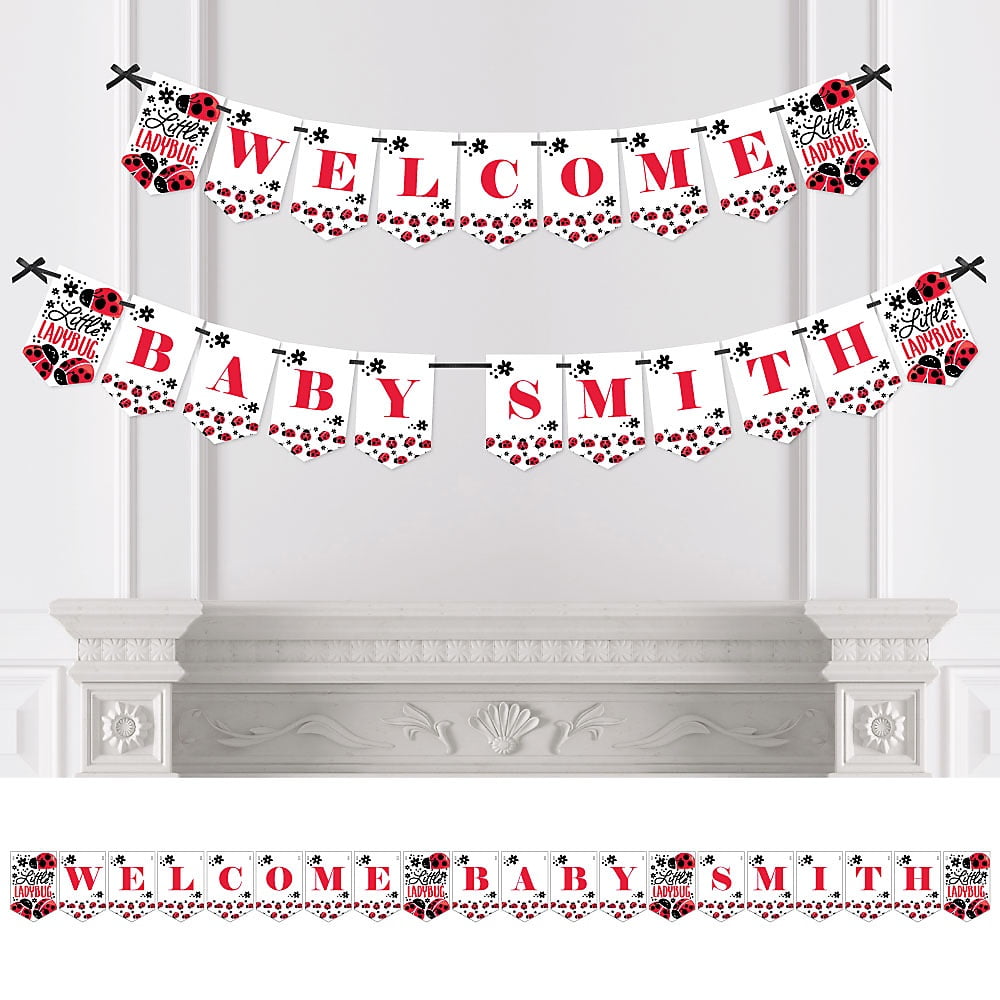 Big Dot of Happiness Modern Ladybug Baby Shower Bunting Banner