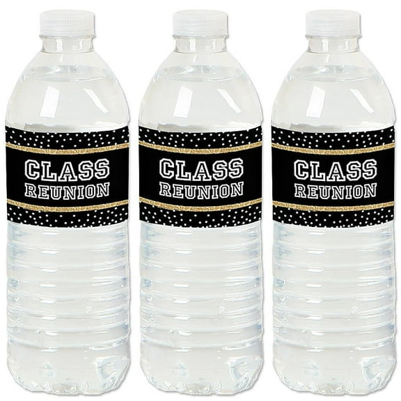 Big Dot of Happiness Reunited - School Class Reunion Party Water Bottle Sticker Labels - Set of 20