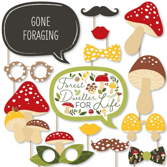 Big Dot of Happiness Wild Mushrooms - Red Toadstool Party Photo Booth Props Kit - 20 Count