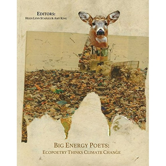 Pre-Owned Big Energy Poets: Ecopoetry Thinks Climate Change (Paperback) 1609641035 9781609641030