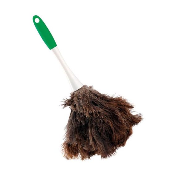 Big Feather Duster