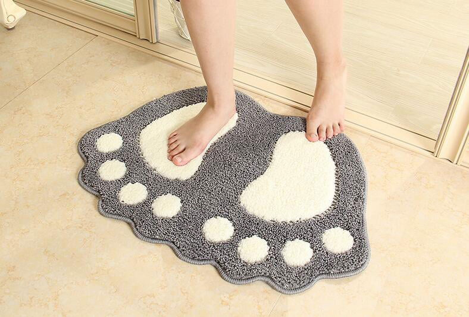 1pc 40x60cm Floor Mat, Bath Mat, Entrance Mat, Water Absorbent Rug