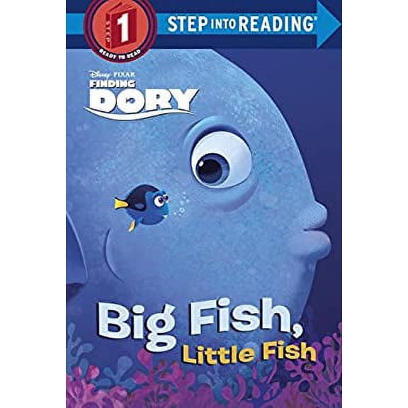 Pre-Owned Big Fish, Little Fish (Disney/Pixar Finding Dory) (Hardcover) by Christy Webster