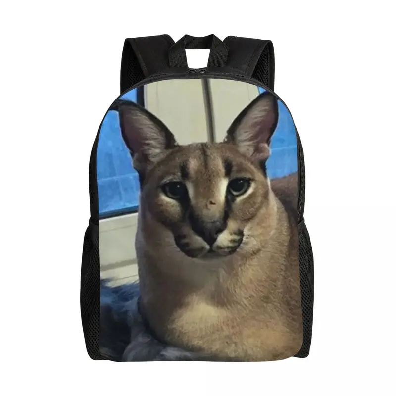 Oversized backpack funny hot sale