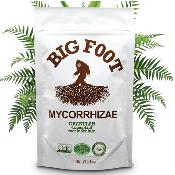 Big Foot Granular Mycorrhizae - Double Your Plant Size – Easy to Use – Made in USA – Treats 30 Plants (7,500 mycorrhizal Spores) 4 Ounces