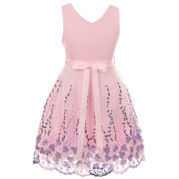 Big Girl Sleeveless 3D Flowers Embroidered Easter Summer Flower Girl Dress Blush 14 JKS 2125 BNY Corner