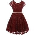 thumbnail image 1 of Big Girls Cap Sleeve Glitter Lace Pearl Holiday Junior Bridesmaid Flower Girl Dress USA Burgundy 12 (2J1K0S2), 1 of 3