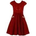 thumbnail image 1 of Big Girls Cap Sleeve Sequin Rhinestones Easter Wedding Flower Girl Dress USA Red 12 (2J1KS97), 1 of 4