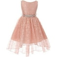 thumbnail image 1 of Big Girls Floral Lace High Low Rhinestones Special Occasion Flower Girl Dress Blush 10 (M3B6K0CB), 1 of 3