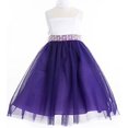 thumbnail image 1 of Big Girls' Satin Top Tulle Skirt Flower Belt Flowers Girls Dresses Purple 18 (J36K39), 1 of 2