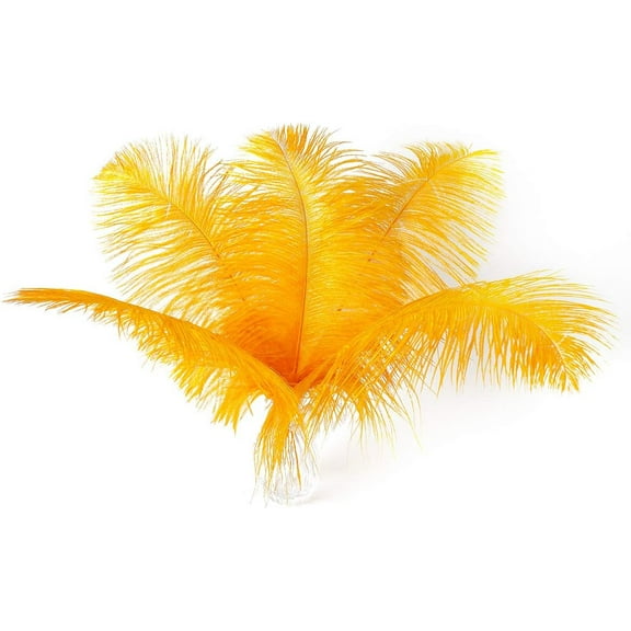 Big Gold Ostrich Feathers - 24Pcs 8-10inch Feathers for Crafts,Party Centerpieces Mardi Gras and Home Decor