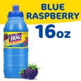thumbnail image 1 of Big HUG Fruit Barrel, Blue Raspberry Drink, 16 fl oz Bottle, 1 of 8
