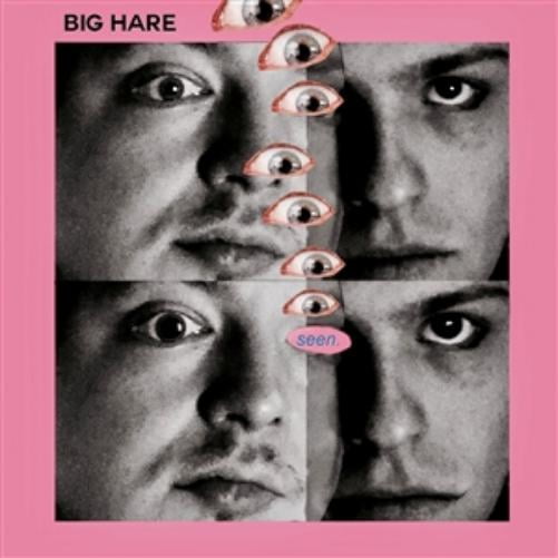 Big Hare What Has Been Seen (Cassette Tape)