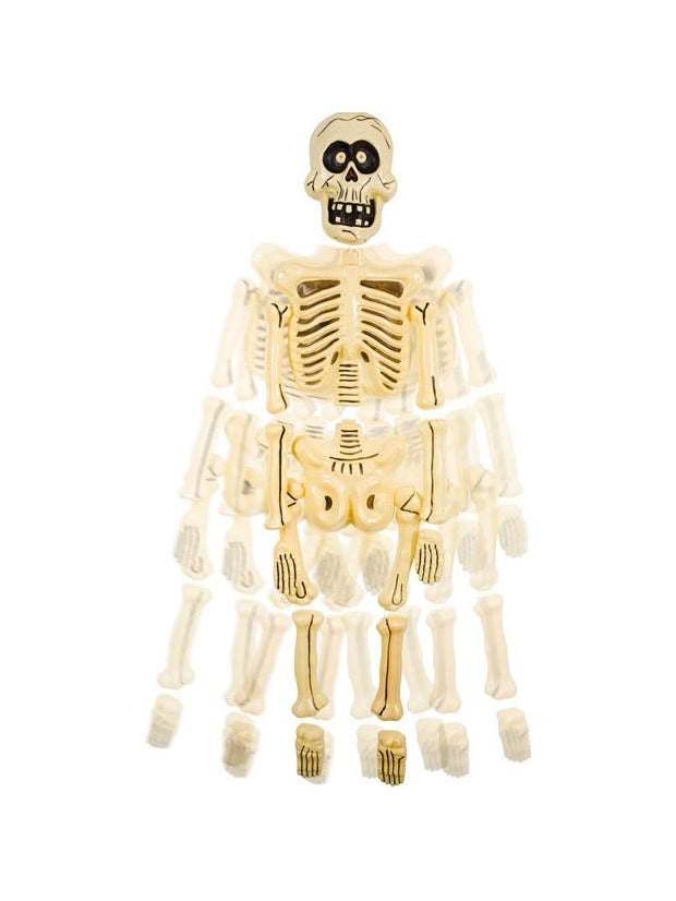 Big Head Jangles Skeleton Prop
