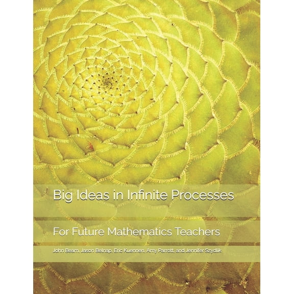 Big Ideas in Mathematics for Future Teac Big Ideas in Infinite Processes: For Future Mathematics Teachers, (Paperback)