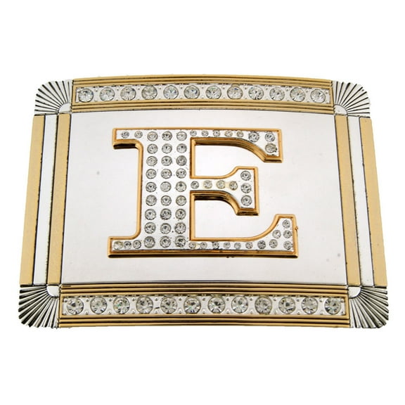 Big Initial E Letter Alphabet Belt Buckle Western Cowboy Rodeo Gold Silver Shiny