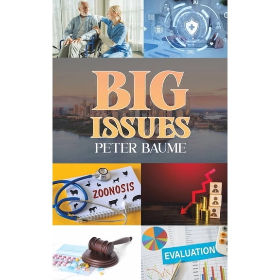 Big Issues, (Paperback)