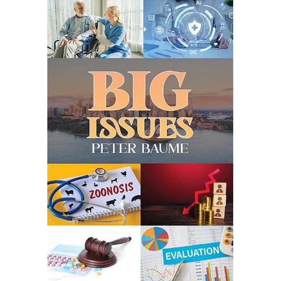 Peter Baume Big Issues (Paperback)