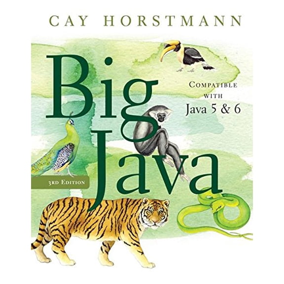 Pre-Owned Big Java (Paperback) 0470105542 9780470105542