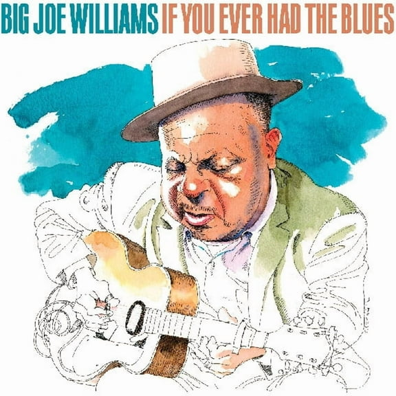 Big Joe Williams - If You Ever Had The Blues - Music & Performance - CD