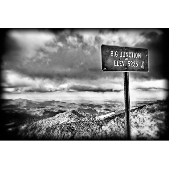 Big Junction BW Holga Poster Print - Rachel Lee (24 x 15)