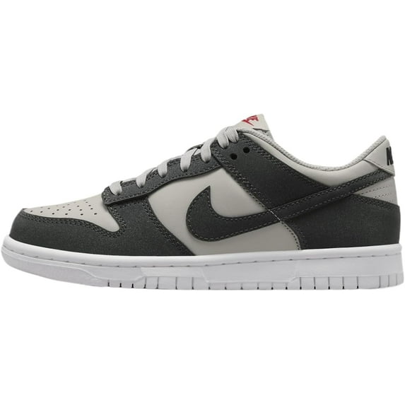 Big Kid's Nike Dunk Low HF LT Iron Ore/Anthracite-White (FZ1000 001) - 4.5
