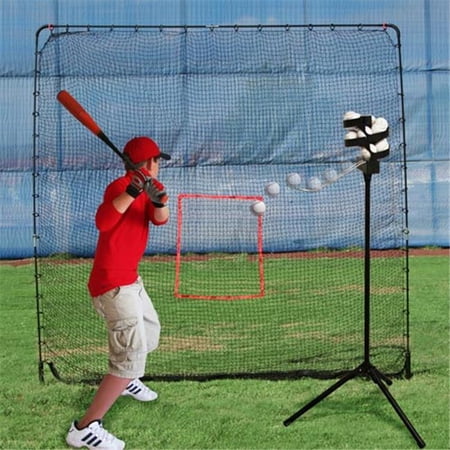 Big League And Big Play Net