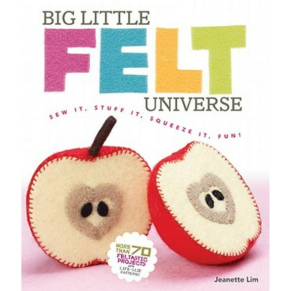 Pre-Owned Big Little Felt Universe: Sew It, Stuff It, Squeeze It, Fun! (Paperback) 1600596754 9781600596759